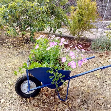 Kaminakia Apartments-adults Only -walk Into A Tranquil Oasis Where Peace & Quiet Are Woven Into Every Breath -nestled Within A Serene Evergreen Cypress Forest, Each Opens Wide To The Endless Sea And A Sunbathed Pool Awaits To Soothe Your Se