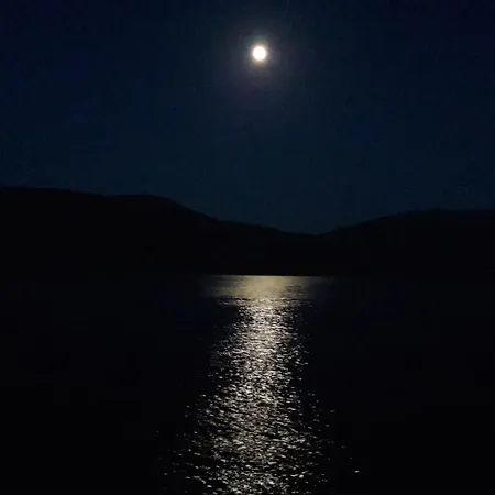 Appartement Kaminakia Apartments-adults Only -walk Into A Tranquil Oasis Where Peace & Quiet Are Woven Into Every Breath -nestled Within A Serene Evergreen Cypress Forest, Each Opens Wide To The Endless Sea And A Sunbathed Pool Awaits To Soothe Your Se Fiskardo