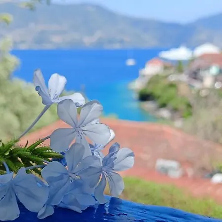 Kaminakia Apartments-adults Only -walk Into A Tranquil Oasis Where Peace & Quiet Are Woven Into Every Breath -nestled Within A Serene Evergreen Cypress Forest, Each Opens Wide To The Endless Sea And A Sunbathed Pool Awaits To Soothe Your Se Appartement