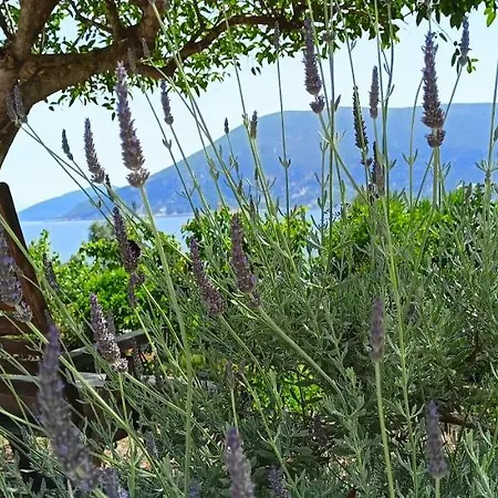 Kaminakia Apartments-adults Only -walk Into A Tranquil Oasis Where Peace & Quiet Are Woven Into Every Breath -nestled Within A Serene Evergreen Cypress Forest, Each Opens Wide To The Endless Sea And A Sunbathed Pool Awaits To Soothe Your Se Appartement Fiskardo