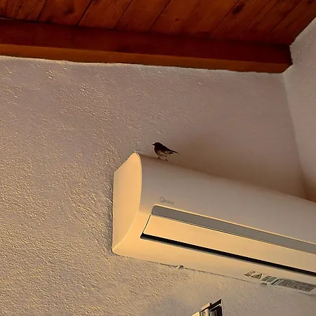 Kaminakia Apartments-adults Only -walk Into A Tranquil Oasis Where Peace & Quiet Are Woven Into Every Breath -nestled Within A Serene Evergreen Cypress Forest, Each Opens Wide To The Endless Sea And A Sunbathed Pool Awaits To Soothe Your Se Appartement Fiskardo