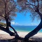 Kaminakia Apartments: Adults-only Oasis With Sea Views And Forest Tranquility Apartment Fiskardo