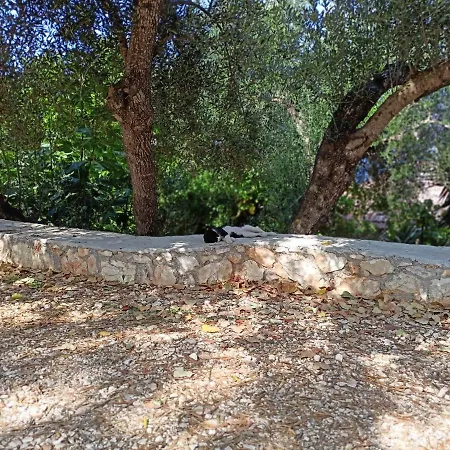 Apartmán Kaminakia Apartments-adults Only -walk Into A Tranquil Oasis Where Peace & Quiet Are Woven Into Every Breath -nestled Within A Serene Evergreen Cypress Forest, Each Opens Wide To The Endless Sea And A Sunbathed Pool Awaits To Soothe Your Se *