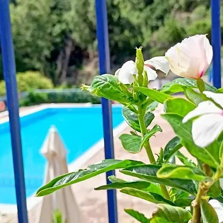 Kaminakia Apartments: Adults-only Oasis With Sea Views And Forest Tranquility
