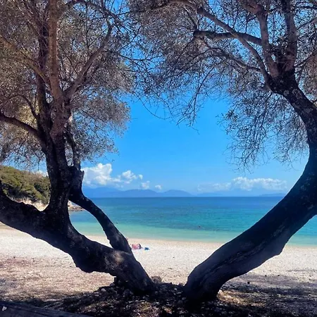 Kaminakia - Adults Only Policy - Delve Into Little Oasis Where Peace And Quiet Reign Supreme - Sheltered By An Evergreen Cypress Forest - Offering A Large Swimming Pool Exclusively For Guests' Use And Breathtaking Sea Views From Every Appartamento Fiskardo