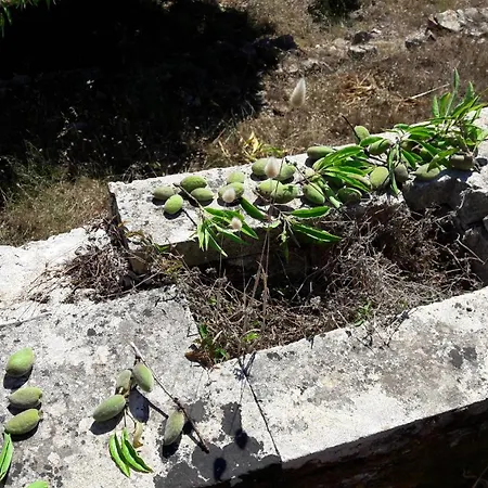 Kaminakia Apartments-adults Only -walk Into A Tranquil Oasis Where Peace & Quiet Are Woven Into Every Breath -nestled Within A Serene Evergreen Cypress Forest, Each Opens Wide To The Endless Sea And A Sunbathed Pool Awaits To Soothe Your Se Apartmán *