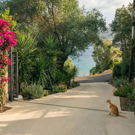 Kaminakia Apartments: Adults-only Oasis With Sea Views And Forest Tranquility Apartment