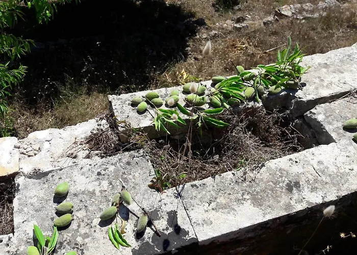 Kaminakia Adults Only Appartement *