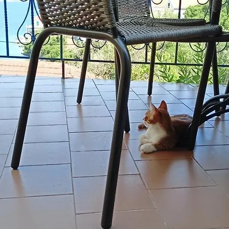 Kaminakia Apartments-adults Only -walk Into A Tranquil Oasis Where Peace & Quiet Are Woven Into Every Breath -nestled Within A Serene Evergreen Cypress Forest, Each Opens Wide To The Endless Sea And A Sunbathed Pool Awaits To Soothe Your Se Appartamento Fiskardo