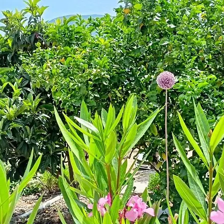 Kaminakia - Adults Only Policy - Delve Into Little Oasis Where Peace And Quiet Reign Supreme - Sheltered By An Evergreen Cypress Forest - Offering A Large Swimming Pool Exclusively For Guests' Use And Breathtaking Sea Views From Every *